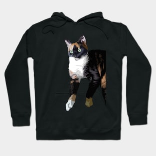 shocked cat-vector art Hoodie